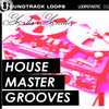 Thumbnail SL ARTIS AUDIO House Master Grooves Looptastic  .ogg 