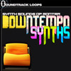 Thumbnail SL DOWNTEMPO SYNTHS  Looptastic  .ogg 