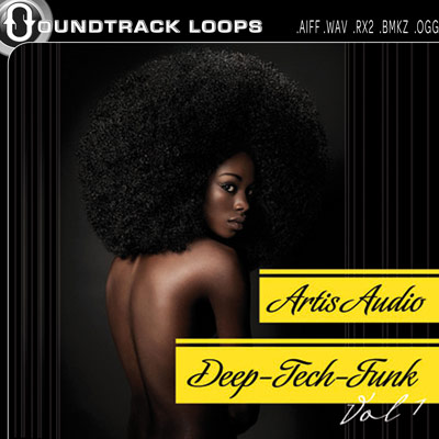 Thumbnail ARTIS AUDIO Deep Tech Funk Recycle Loops Dr Rex Fruity Loops